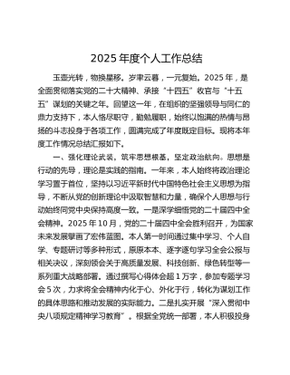 2025年度个人工作总结（2）