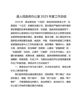 县人民政府办公室2025年度工作总结