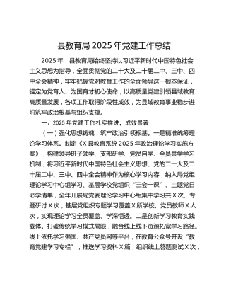县教育局2025年党建工作总结
