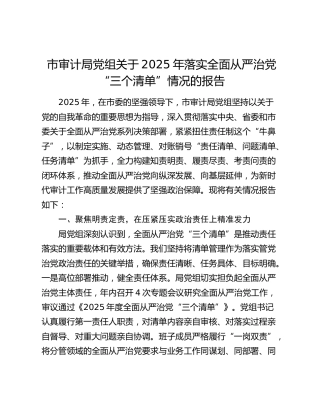 市审计局党组关于2025年落实全面从严治党“三个清单”情况的报告