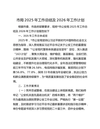 市局2025年工作总结及2026年工作计划