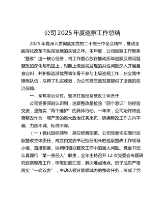 公司2025年度巡察工作总结