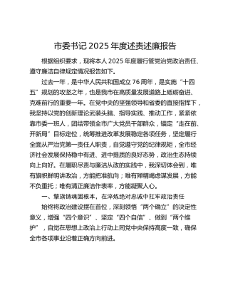 市委书记2025年度述责述廉报告