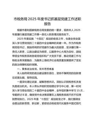 市税务局2025年度书记抓基层党建工作述职报告