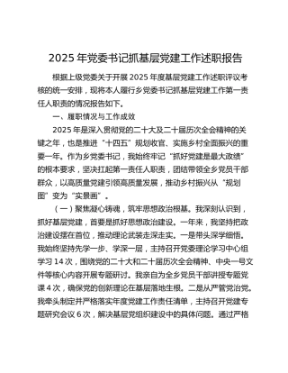 2025年党委书记抓基层党建工作述职报告