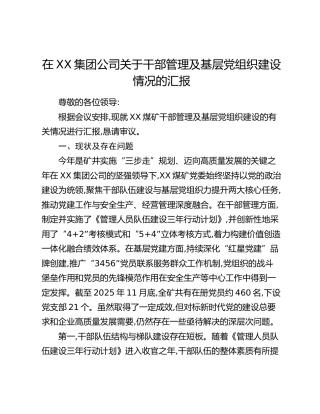 在XX集团公司关于干部管理及基层党组织建设情况的汇报