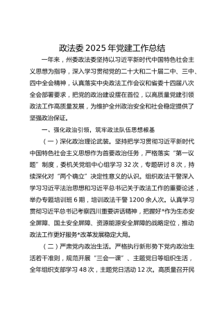 政法委2025年党建工作总结