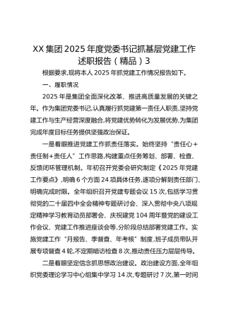 XX集团2025年度党委书记抓基层党建工作述职报告3