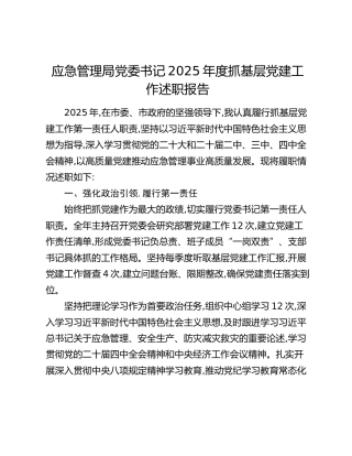 应急管理局党委书记2025年度抓基层党建工作述职报告