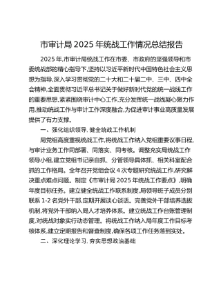 市审计局2025年统战工作情况总结报告