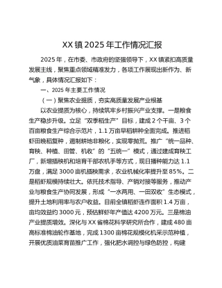 XX镇2025年工作情况汇报