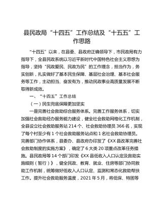 XX县民政局“十四五”工作总结及“十五五”工作思路