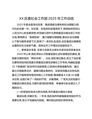 XX区委社会工作部2025年工作总结