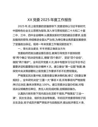 XX党委2025年度工作报告