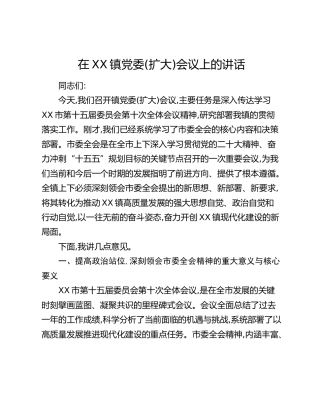 在XX镇党委(扩大)会议上的讲话（2）