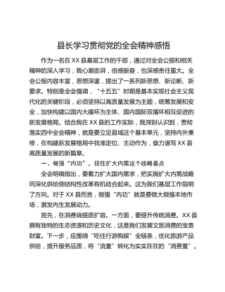 县长学习贯彻党的全会精神感悟