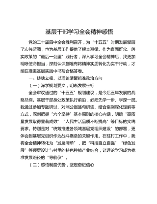 基层干部学习全会精神感悟
