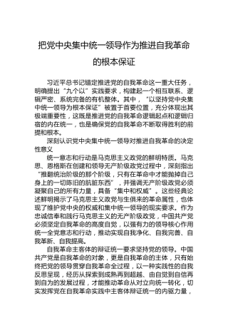 把党中央集中统一领导作为推进自我革命的根本保证
