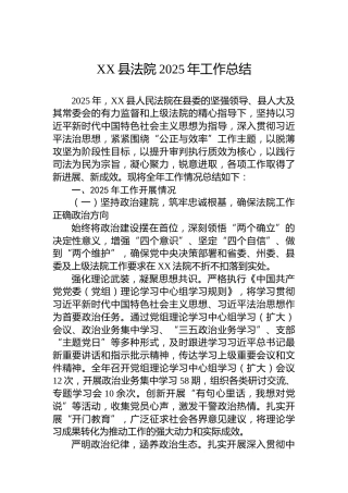 XX县法院2025年工作总结