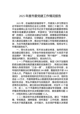 2025年度市委党建工作情况报告