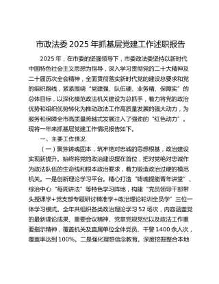 市政法委2025年抓基层党建工作述职报告