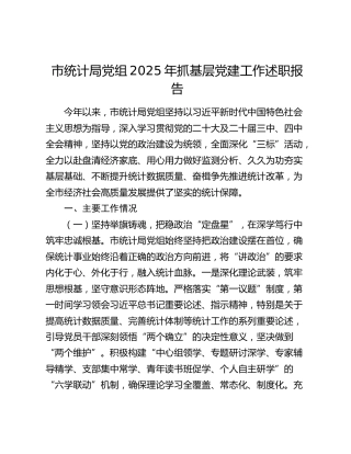 市统计局党组2025年抓基层党建工作述职报告