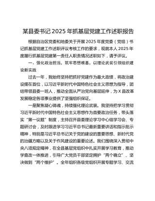 某县委书记2025年抓基层党建工作述职报告