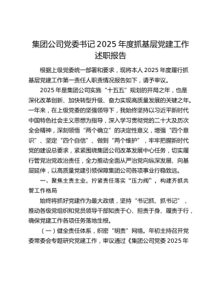 集团公司党委书记2025年度抓基层党建工作述职报告