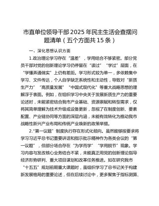 市直单位领导干部2025年民主生活会查摆问题清单（五个方面共15条）
