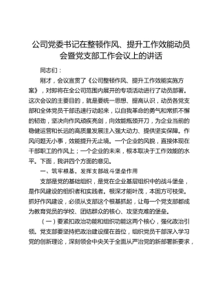 公司党委书记在整顿作风、提升工作效能动员会暨党支部工作会议上的讲话