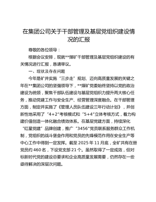 在集团公司关于干部管理及基层党组织建设情况的汇报