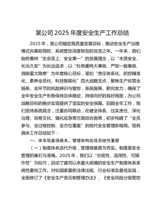 某公司2025年度安全生产工作总结