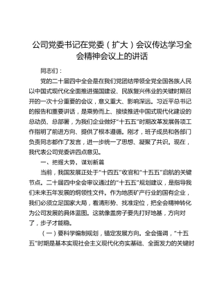 公司党委书记在党委（扩大）会议传达学习全会精神会议上的讲话