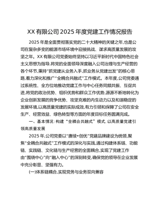 xxx有限公司2025年度党建工作情况报告