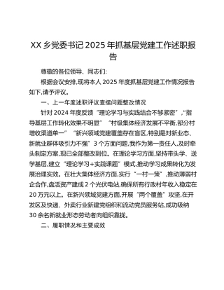 XX乡党委书记2025年抓基层党建工作述职报告