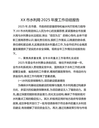 XX市水利局2025年度工作总结报告