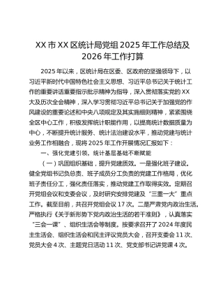 XX市XX区统计局党组2025年工作总结及2026年工作打算
