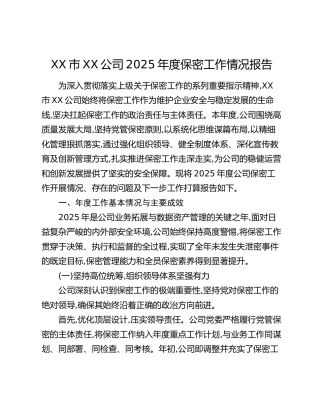 XX市XX公司2025年度保密工作情况报告