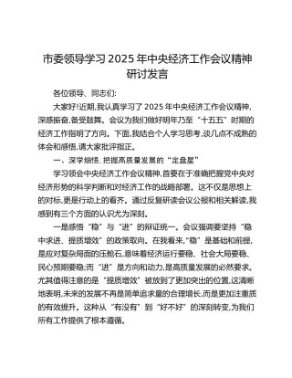 市委领导学习2025年中央经济工作会议精神研讨发言
