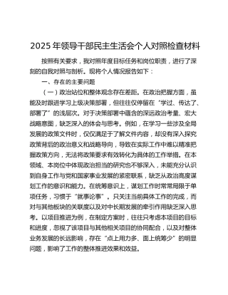 2025年领导干部民主生活会个人对照检查材料