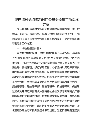 淝田镇村党组织和村民委员会换届工作实施方案