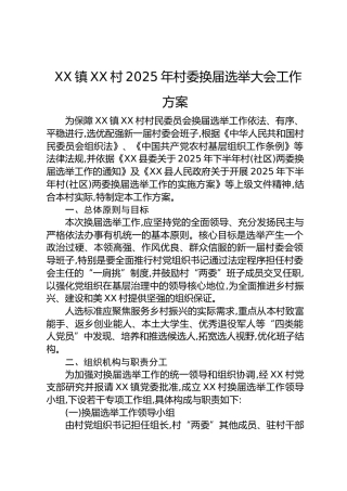 2025年村委换届选举大会工作方案