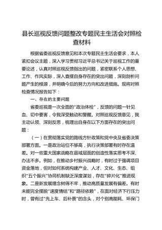 县长巡视反馈问题整改专题民主生活会对照检查材料