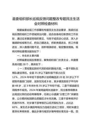 县委组织部长巡视反馈问题整改专题民主生活会对照检查材料