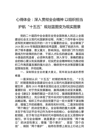 心得体会：深入贯彻四中全会精神以组织担当护航“十五五”规划蓝图变为现实图景