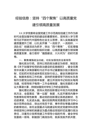 经验信息：坚持“四个聚焦”以高质量党建引领高质量发展