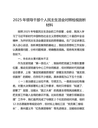 2025年领导干部个人民主生活会对照检视剖析材料