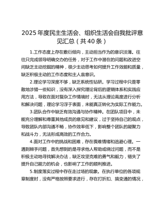 2025年度民主生活会、组织生活会自我批评意见汇总（共40条）