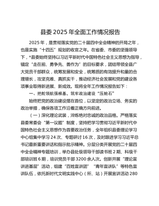 县委2025年全面工作情况报告