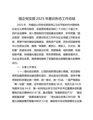 国企党支部2025年意识形态工作总结
